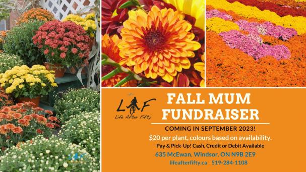 Life After Fifty - News - Coming this Fall: Mums Fundraiser